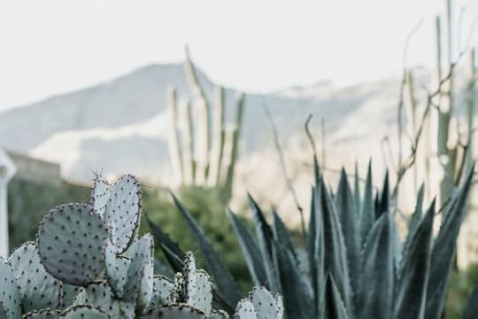How Can You Better Deal With Fear During Uncertain Times?