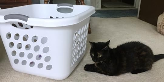 laundry-basket-cat-game