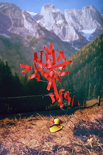 Thomas Albdorf, Typical Alpine Flora at the Hochschwab Area, 2014