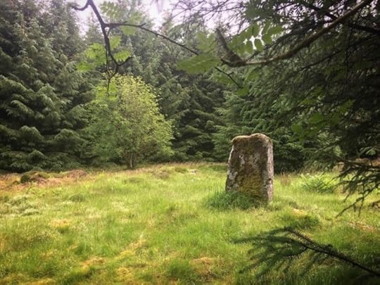 One stone from the circle in Loudon Wood