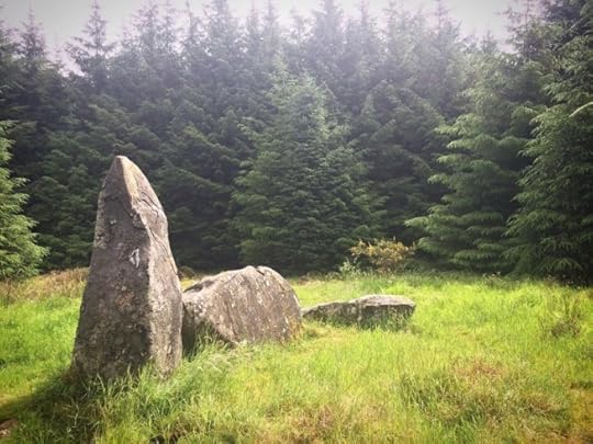 sunshine over Loudon Wood Stone Circle