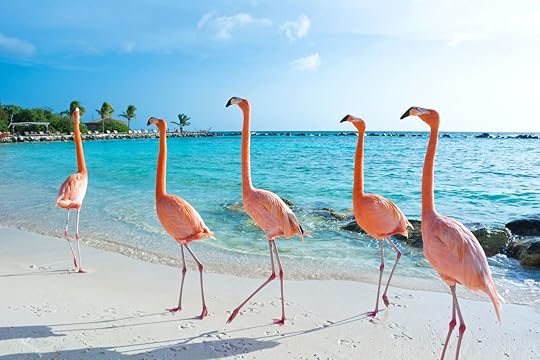 destinations-allowing-us-travelers 15