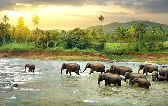 destinations-allowing-us-travelers 13