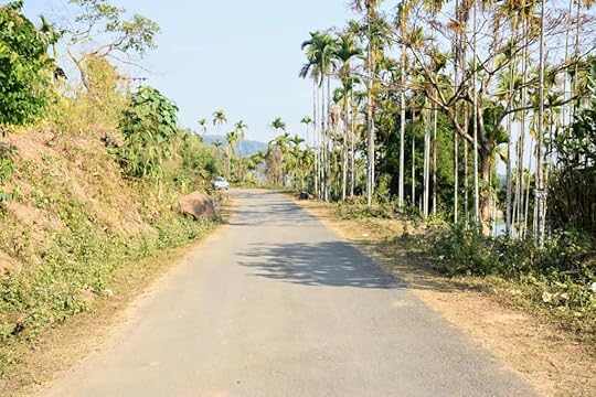betel nut Tree, Dawki