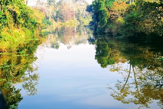 Kaziranga National Park