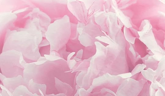 rebecca campbell rose