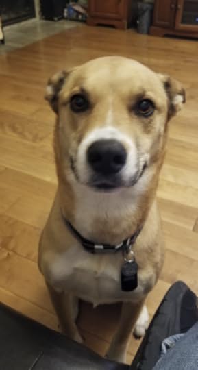 Annie, Chad Morgan’s adorable rescue dog! Doesn’t she look like a good girl?