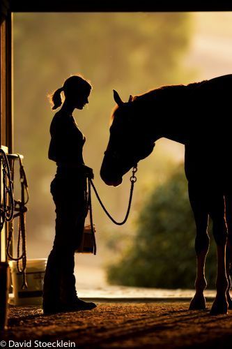 a girl and her horse