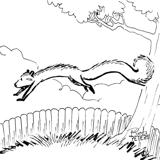 Squirrel22