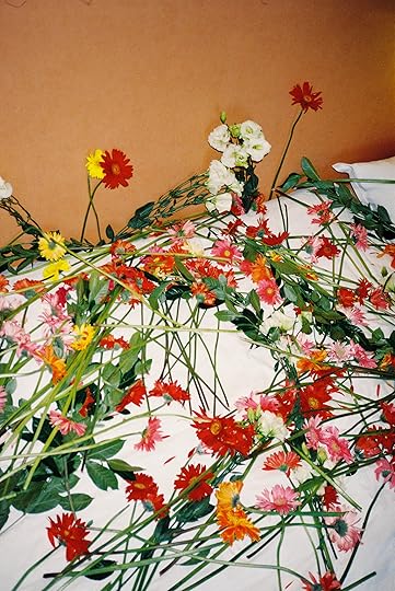 223, Flower Bed, 2011