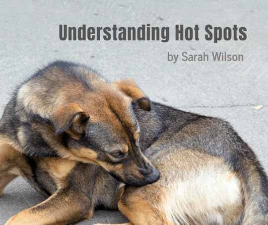 good owners great dogs