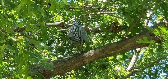 20200604_104510.jpg