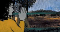 Passages des oiseaux2