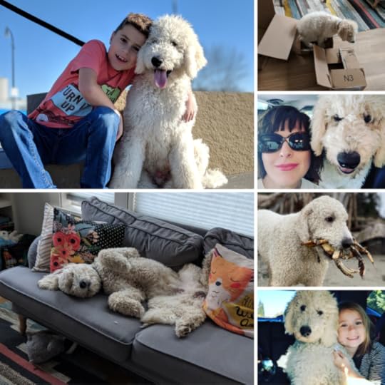 Untitled design (11)