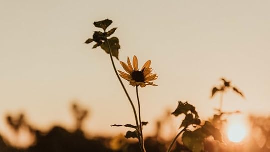 Let Your Heart Take Courage