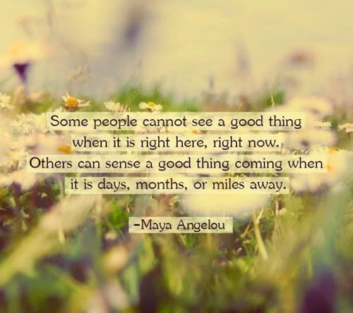 maya angelou quote