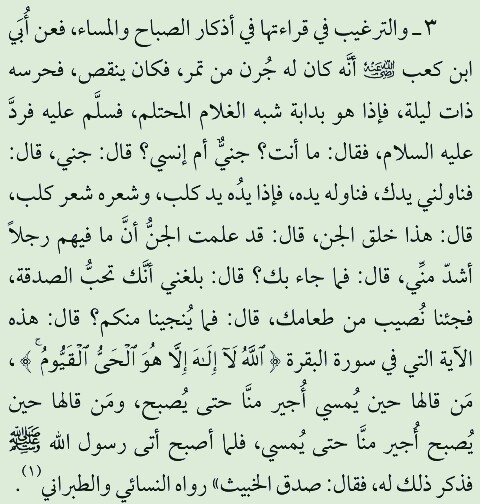 Pics-Art-07-07-03-24-30