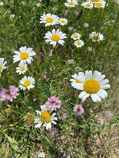 106015572_807437239660571_4629521920394898713_n - Copy.jpg