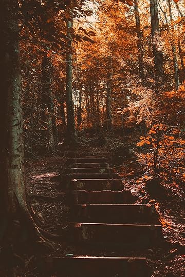 Photo by Lisa Fotios from Pexels