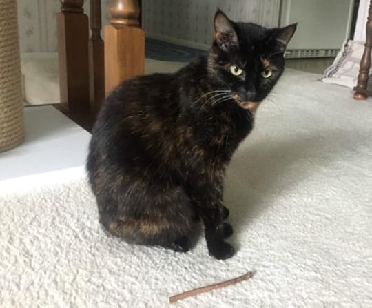 silvervine-chew-stick