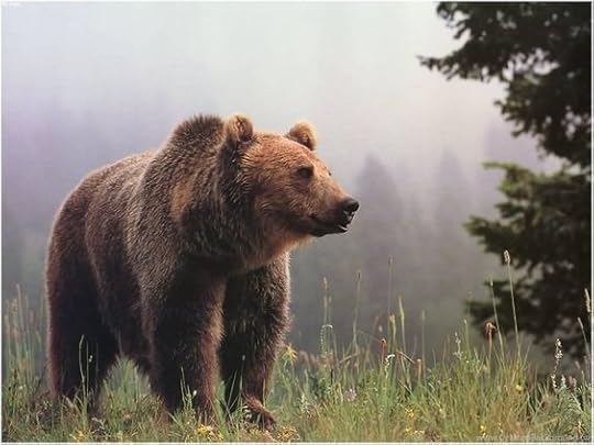 I'm not sure what stance you would want, but if Beau is standing, I image the bear is either sitting or standing by his side