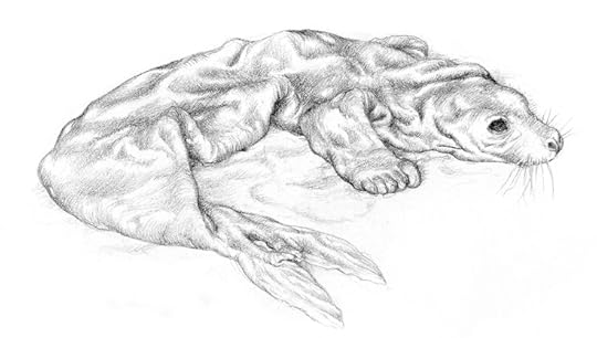 Selkie drawing by Alan Lee