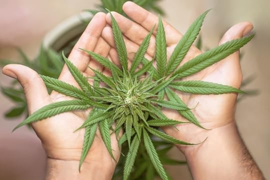 Marijuana