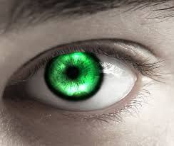Image result for emerald eyes | Emerald eyes, Eyes, Eye color