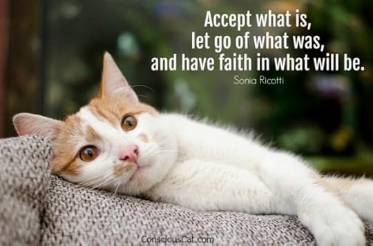 accept-what-is