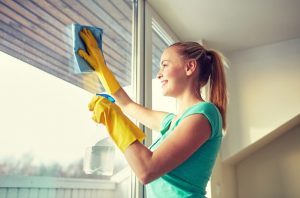 Activities on How to Begin a Window cleaning Organization