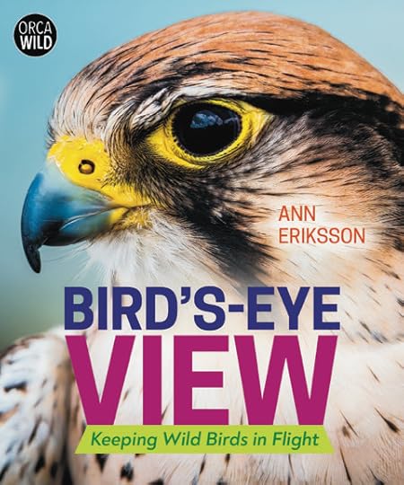 cover of Bird's-Eye View by Ann Eriksson