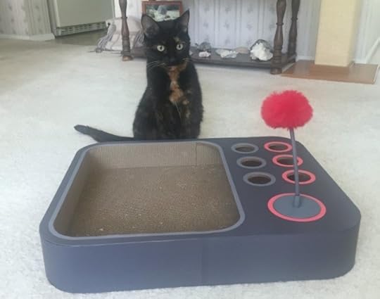 Cheerble-board-game-cats