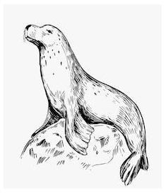 Seal