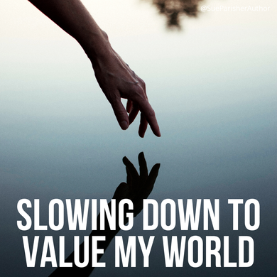 Slowing down to value my world - Regaining control
