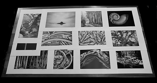 Monochromatic Visions Portfolio prints © Harold Davis