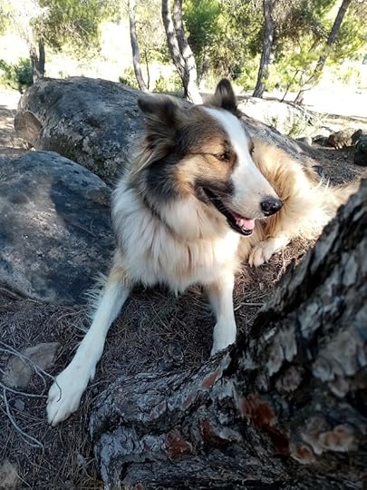 La imagen tiene un atributo ALT vacío; su nombre de archivo es strap.jpg