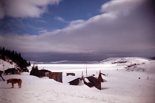 Rexons Cove Winter.jpg