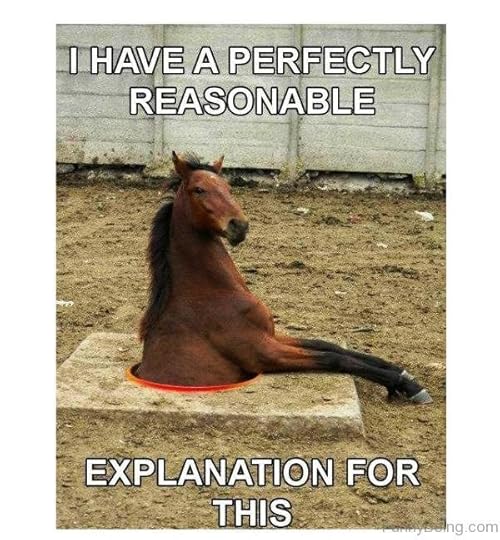 horse explanation