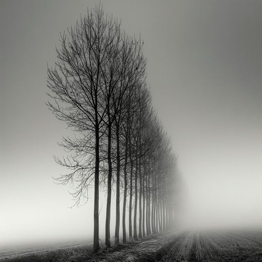 pellegrini-6