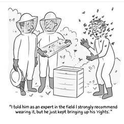 thumbnail_image001bee.jpg