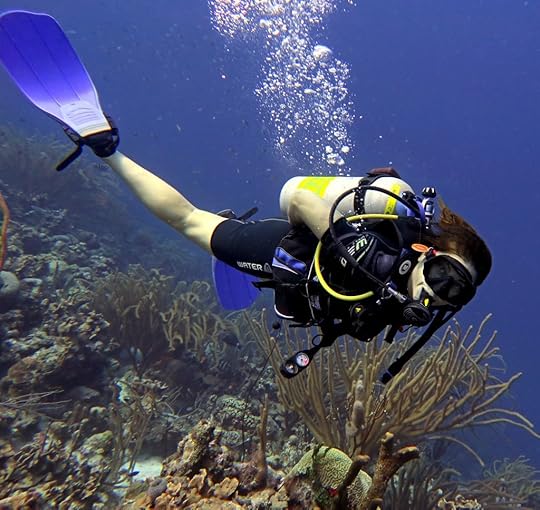 Is Bonaire Bucket List Worthy for Diving?