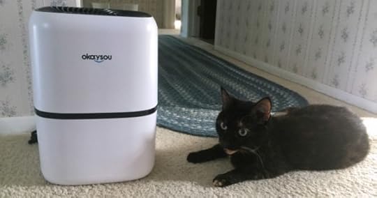 okaysou-air-purifier