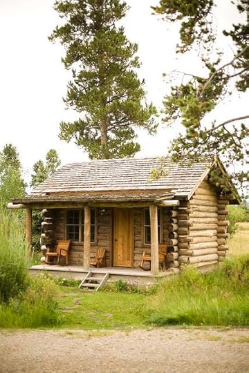 itty bitty cabin, with a kitchen and a tiny bathroom and I am good to go. I can see the chickens in the back along with a goat or two, oh and of course my pets, dogs and cats.