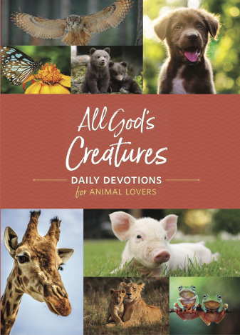 All Gods CreaturesCOVER