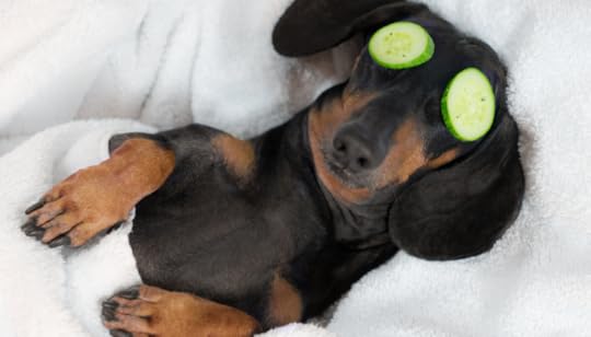 The five steps to healthier sleep by Gregory Charlop, MD