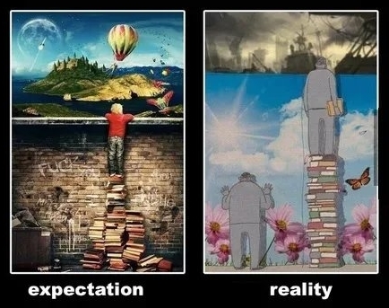 Books-expectation-vs-reality