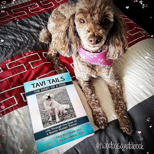 Tavi Tails - The Diary of a Dog