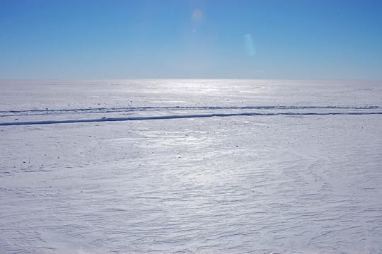 Tracks left by the Basler's landing gear. Without an object for scale, they might be sledge tracks, or crevasses, who could say?
