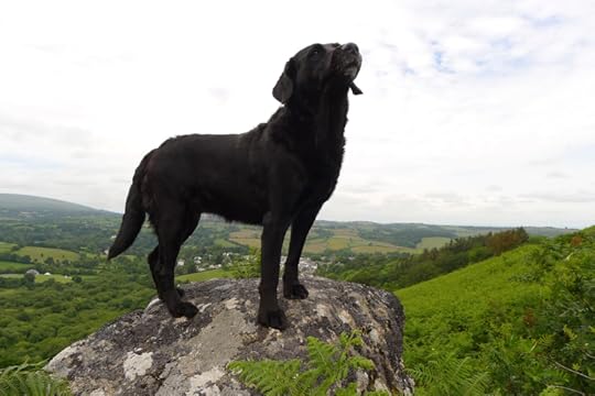 The Muse of Bumblehill