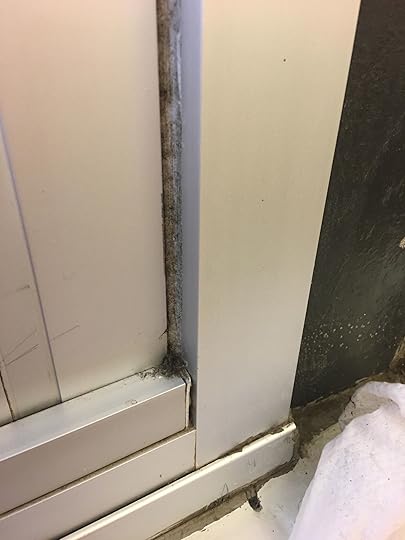 116266787_769243443822618_1131382744662897995_n